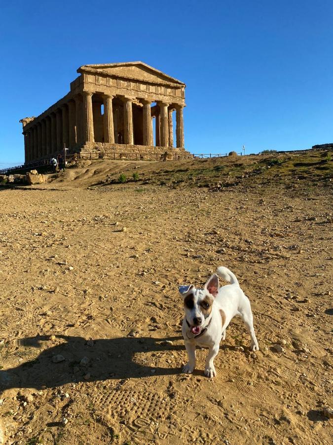 Akragaroom Agrigento Eksteriør billede